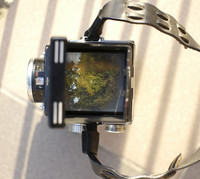 IMG_0015.jpeg