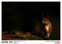 NSO Sample 9.jpg