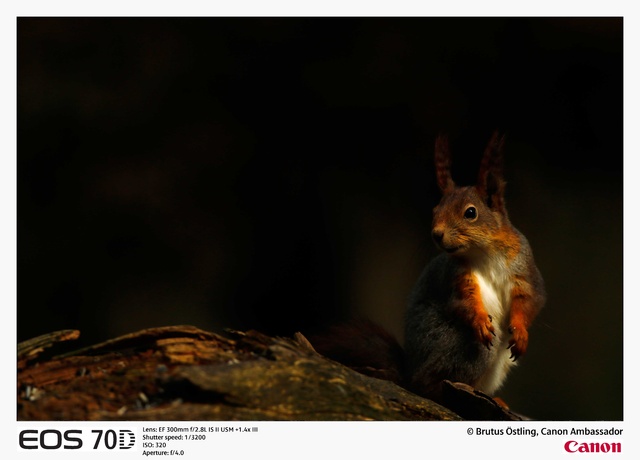 NSO Sample 9.jpg