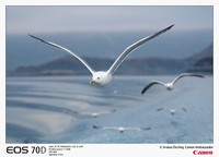 NSO Sample 12.jpg