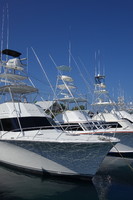 photo_sample2.jpg