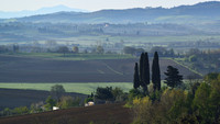 DSC_4472.jpg