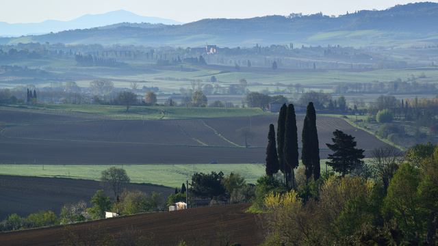 DSC_4472.jpg