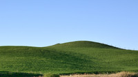 DSC_4553.jpg