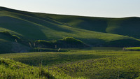 DSC_4555.jpg