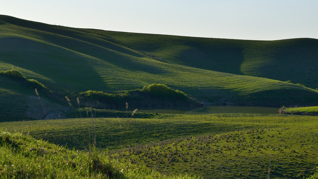 DSC_4555.jpg