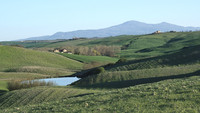 DSC_4558.jpg
