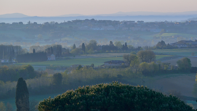 DSC_4590.jpg