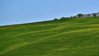 DSC_4666.jpg