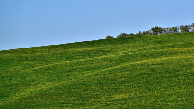 DSC_4666.jpg