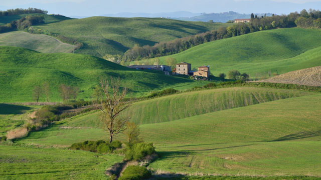 DSC_4680.jpg