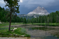 DSC_5305.jpg