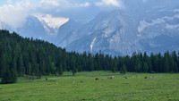 DSC_5096_DxO_1_sharp.jpg