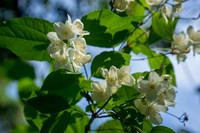 0_ebe4e_a3c80468_orig.jpg