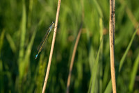 0_ebe6b_3b347307_orig.jpg