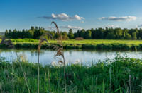 0_ebe6c_2b727d69_orig.jpg