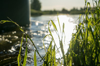 0_ebe67_32f68b92_orig.jpg