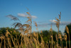 0_ebe70_4f4bea2_orig.jpg