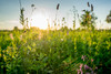 0_ebe73_d168c65f_orig.jpg