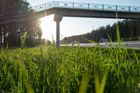 DSCF3158.jpg