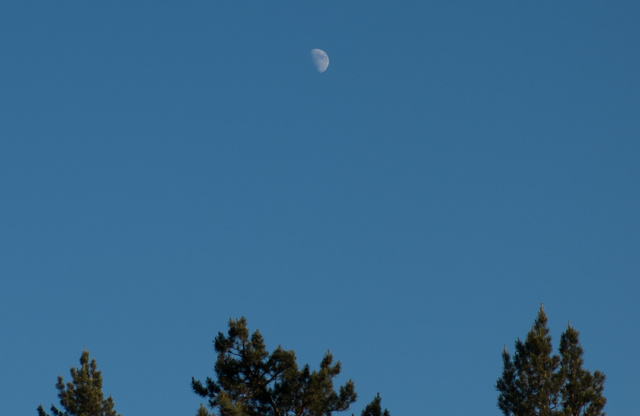 DSCF3214.jpg