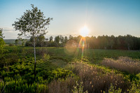 DSCF3217.jpg