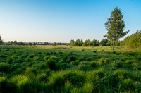 DSCF3228.jpg