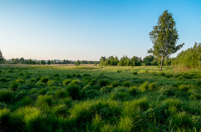 DSCF3228.jpg
