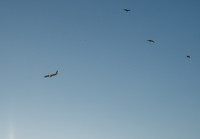 DSCF3299.jpg