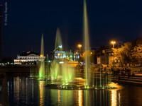 _9150693.jpg