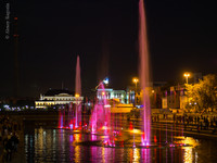 _9150787.jpg