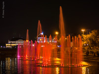 _9150837.jpg