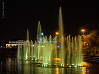 _9150848.jpg