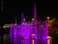 _9150852.jpg