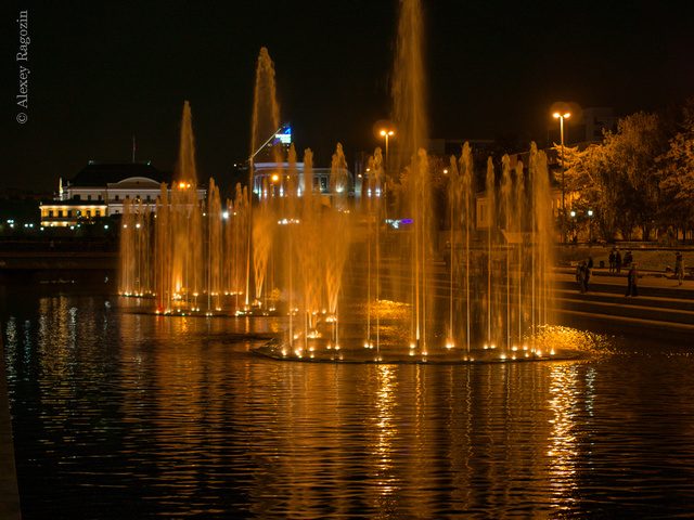 _9150856.jpg