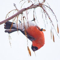DSC00021.jpg