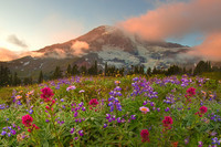 Olympic_National_Park_02.jpg
