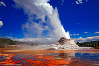 Yellowstone-National-park.jpg-castle-geyser.jpg