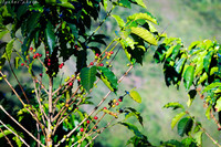 colombia_6987.jpg
