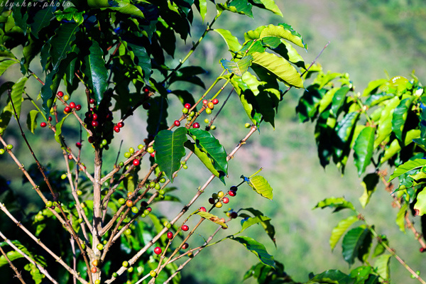 colombia_6987.jpg