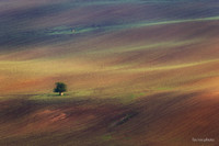 moravia_0007.jpg
