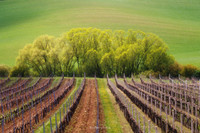 moravia_0217.jpg