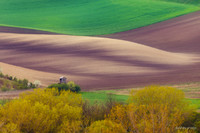 moravia_9918.jpg