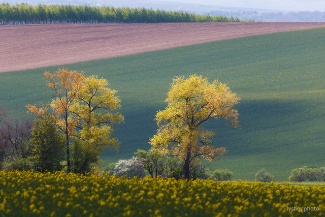 moravia_9960.jpg