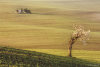 moravia_9839.jpg