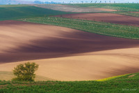 moravia_9862.jpg