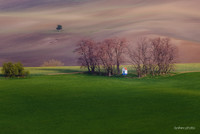 moravia_9890.jpg