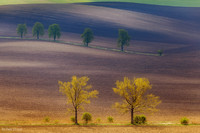 moravia_9905.jpg