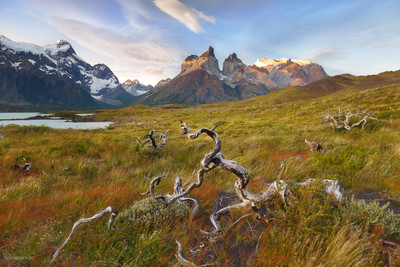 patagonia--5.jpg