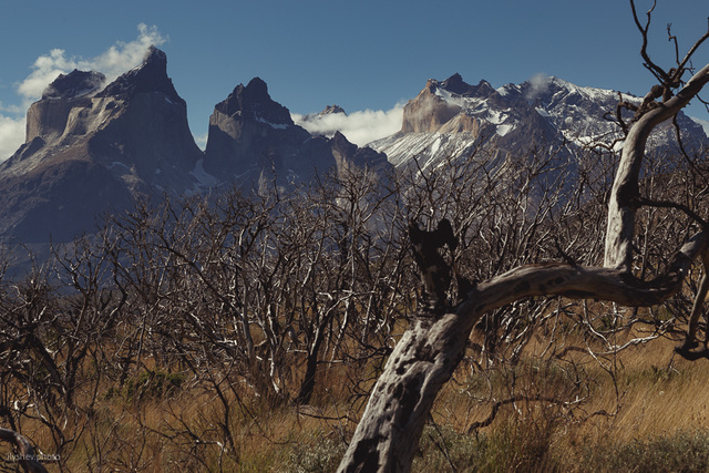 patagonia-3685.jpg